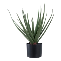 Kunstig plante Aloe Vera 51cm høj grøn