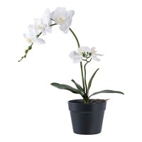Kunstig Orkidé 47cm høj hvid