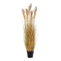 Kunstig plante Sorghum Grass 110cm natur