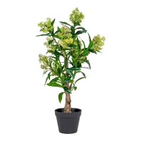 Skimmia træ 40x40x75 kunstig plante grøn
