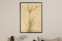 Plakat Plant Art 50x70cm beige