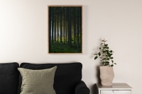 Plakat Woods 21x30cm med dybgrøn skov motiv