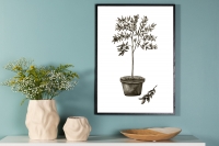 Plakat Olive 70x100cm gr&oslash;n