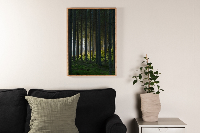 Plakat Woods 21x30cm med dybgrøn skov motiv