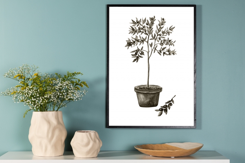 Plakat Olive 50x70cm gr&oslash;n