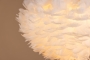 41585d00-4277-11ee-9290-d78260bb4519