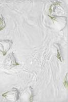 Plakat White Roses 50x70cm hvid