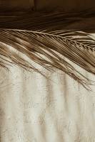 Plakat Dessert 30x40cm beige