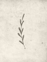 Plakat Autumn Leaf 30x40cm beige