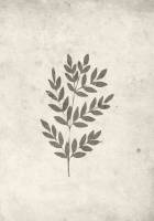 Plakat Spring Leaf 21x30cm beige