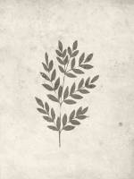 Plakat Spring Leaf 30x40cm beige