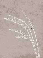 Plakat Seeds 30x40cm beige