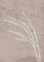 Plakat Seeds 50x70cm beige