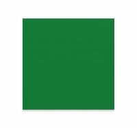 Lintex Mood Wall Silk glastavle 100x100cm Fearless, grøn