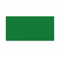 Lintex Mood Wall Silk glastavle 200x100cm Fearless, grøn