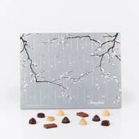 Summerbird julekalender 2025