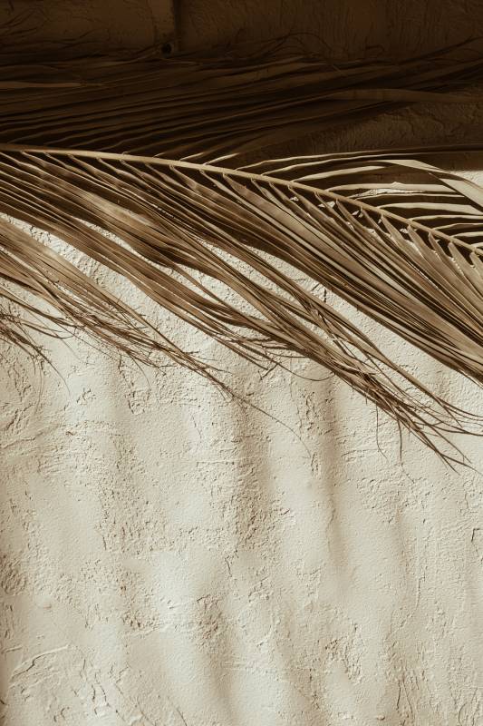 Plakat Dessert 30x40cm beige