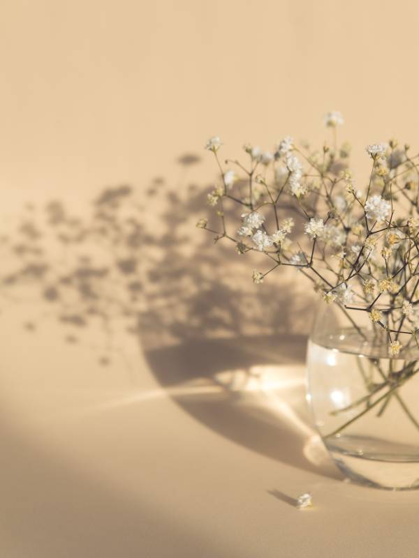 Plakat White Flowers 30x40 beige