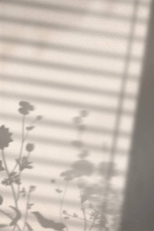 Plakat Flower Shadow 30X40Cm Hvid