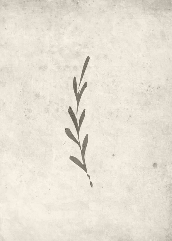 Plakat Autumn Leaf 50x70cm beige