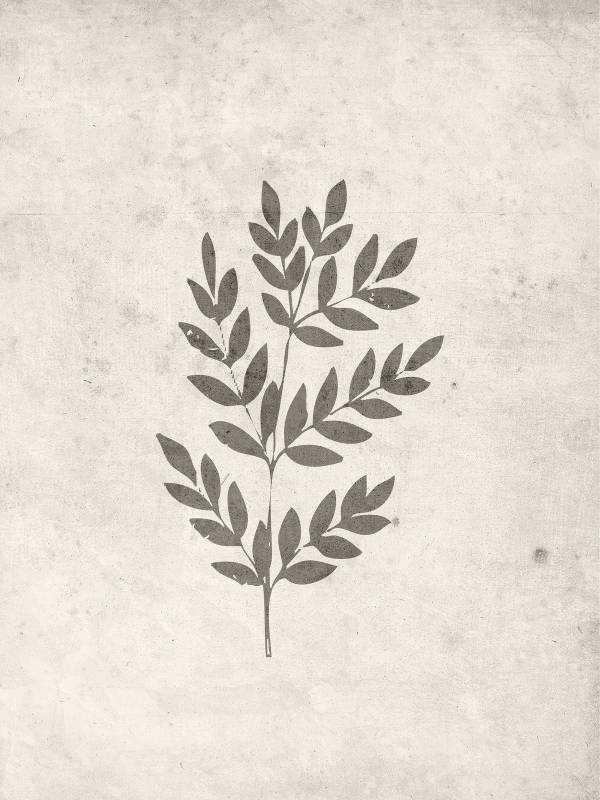 Plakat Spring Leaf 30x40cm beige