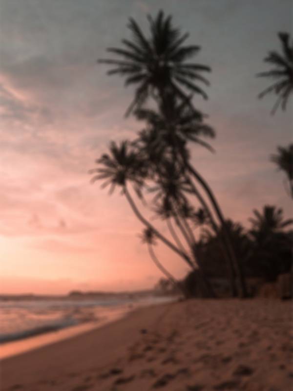 Plakat Summer 30x40cm rosa