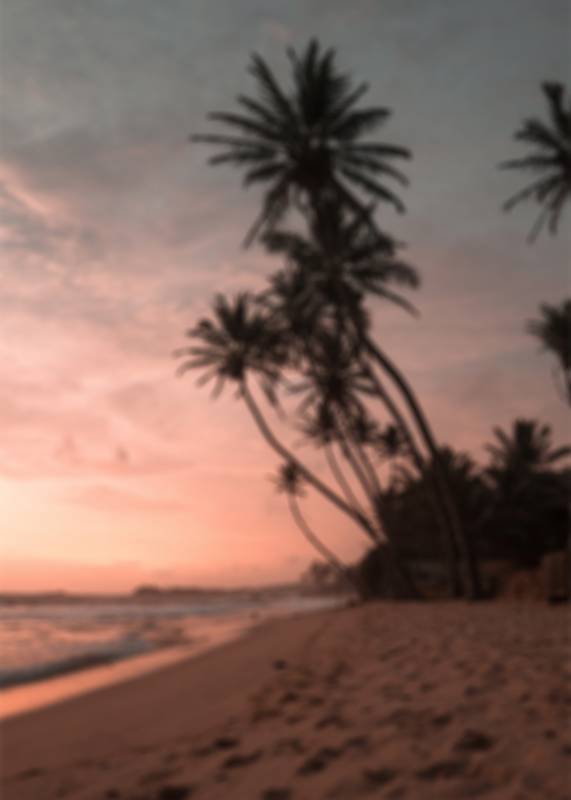 Plakat Summer 50x70cm rosa