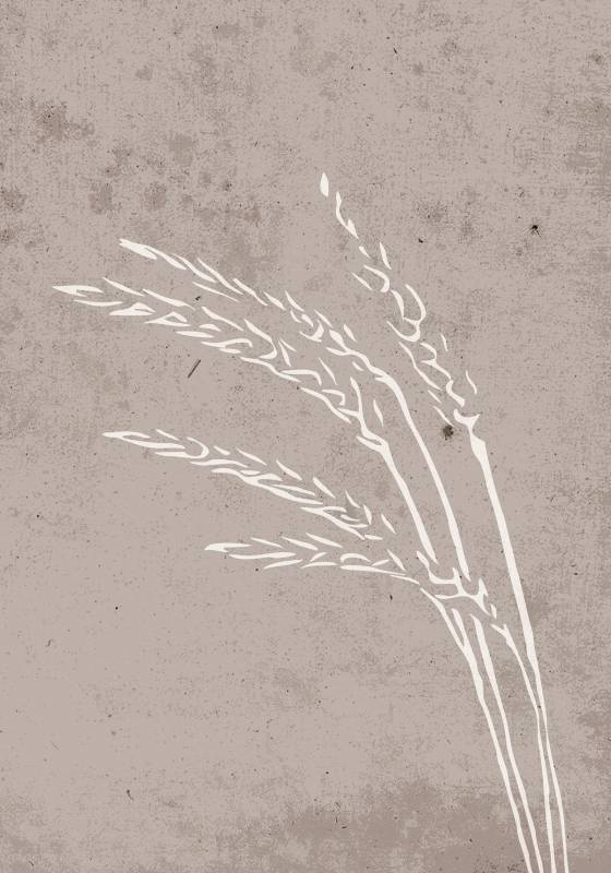 Plakat Seeds 21x30cm beige