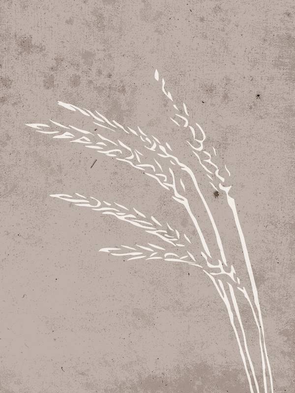 Plakat Seeds 30x40cm beige