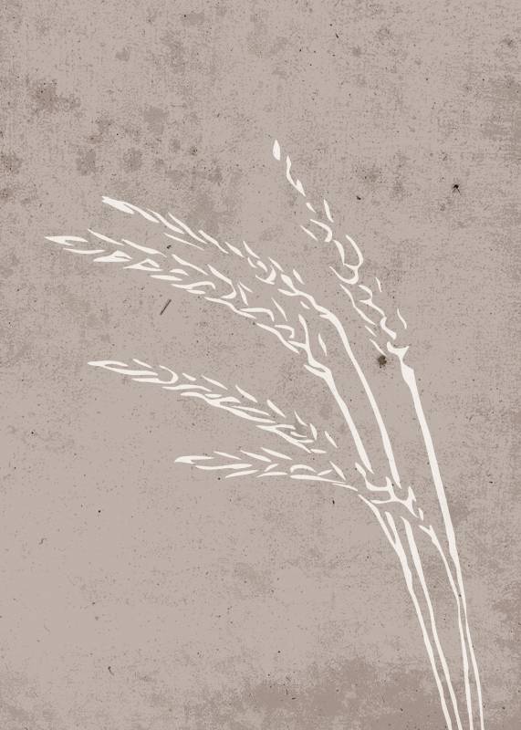 Plakat Seeds 50x70cm beige