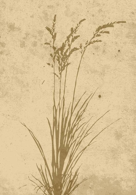 Plakat Plant Art 21x30cm beige