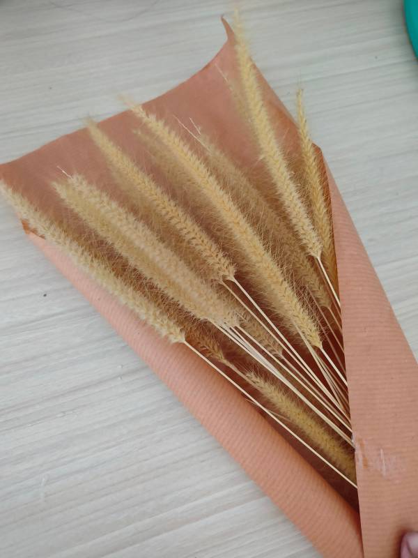 Plakat Dry Flowers 30x40cm beige