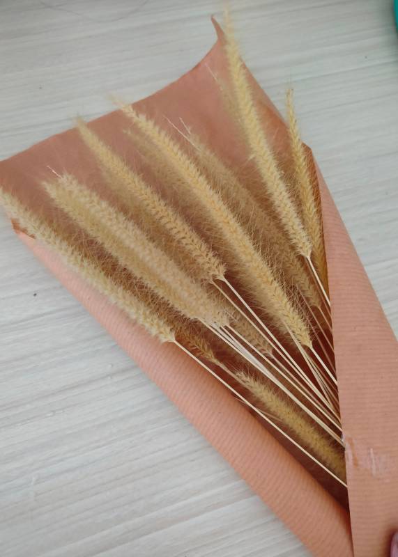 Plakat Dry Flowers 50X70Cm Beige