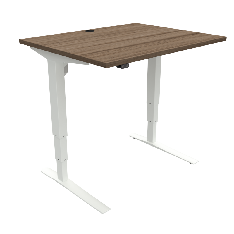 ConSet 501-43 hæve-sænke bord 100x80cm valnød med hvidt stel