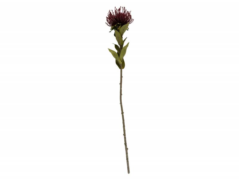 Kunstig plante Protea Flower 10,2x59,7cm rød