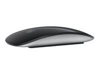 Apple Mouse Multi-Touch / MXK63Z/A sort