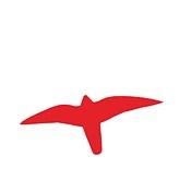 Fugleskræmmer pictogram 19,5x25cm rød