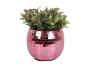 Blomsterkrukke-Disco-Mirror-OE18cm-pink-1