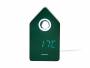 Karlsson-Cuckoo-LED-vaekkeur-9x158x6cm-groen-1