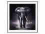 Laerreds-billede-Elephant-50cm-sort-og-hvid