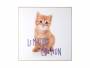 Laerreds-billede-Kitten-Limited-Edition-40x3cm