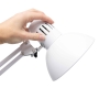 Maul-MAULstudy-LED-skrivebordslampe-med-bordklemme-hvid-1