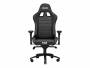 Next%20Level%20Racing%20Pro%20Gaming%20Sort_1