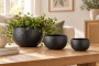 Nordisk%20bordvignette%20med%20gr%C3%B8nne%20planter