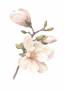 Plakat-Hand-Made-Rosa-50x70cm-i-pink-akvarelstil