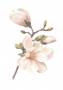 Plakat-Hand-Made-Rosa-70x100cm-i-pink-med-akvarel-look