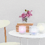 TEA%20LIGHT%20SETS%20AMSTERDAM%20DK