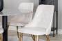 Velvet-Deluxe-spisebordsstol-i-hvid-velour-med-messingben