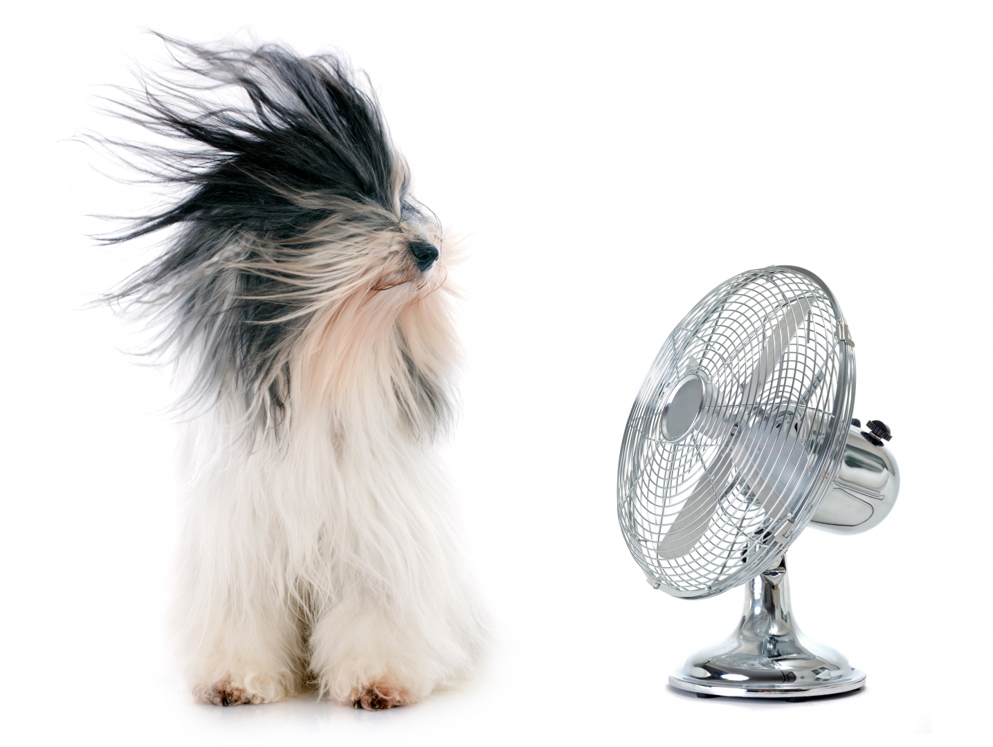 Find stort sortiment af ventilatorer